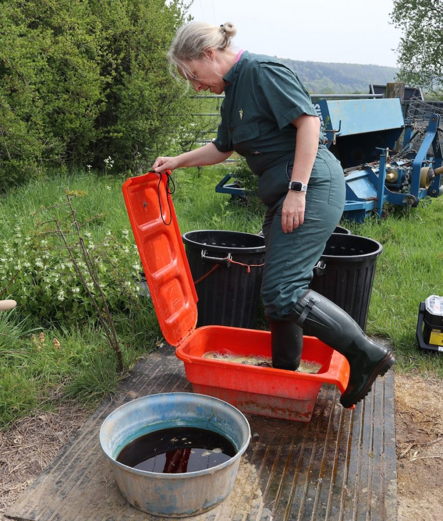 Simplify farm biosecurity Footcheck Footbath UK Alpaca Vet