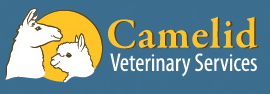 Camelid Veterinary Services