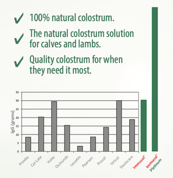 Colostrum Replacer - Immucol Platinum - Image 2