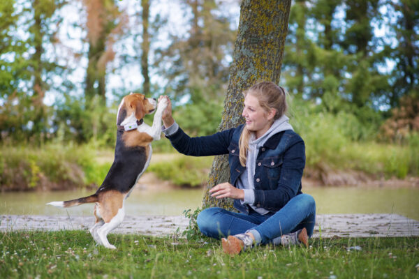 Weenect GPS tracker for Dogs and Cats - Image 2