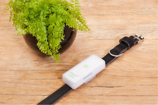 Weenect GPS tracker for Dogs and Cats - Image 6