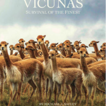 BOOK - Vicuna