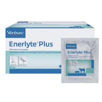 Enerlyte Plus Rehdration Supplement