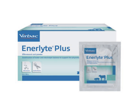 Enerlyte Plus Rehdration Supplement